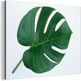 Wanddecoratie Metaal - Aluminium Schilderij Industrieel - Botanische gatenplant op een lichtgrijze achtergrond - 160x120 cm - Dibond - Foto op aluminium - Industriële muurdecoratie - Voor de woonkamer/slaapkamer