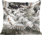 Sierkussens - Kussentjes Woonkamer - 40x40 cm - Boom - Takken - Winter - Kerstversiering - Kerstdecoratie voor binnen - Woonkamer