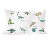 Coussins Coussins décoratifs - Oreillers Salon - 60x40 cm - Chambre d'enfant - Couleurs - Dinosaurus