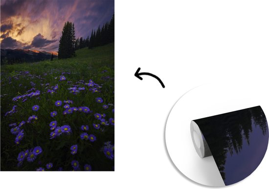 Champ de fleurs dans les montagnes Rocky au crépuscule 170x260 cm