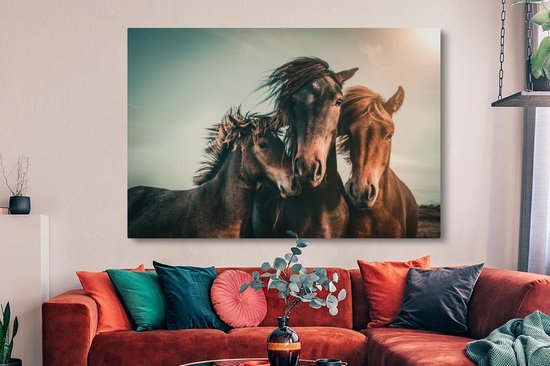Tableau sur toile Paarden - Gros plan - Soleil - 150x100 cm - Décoration murale