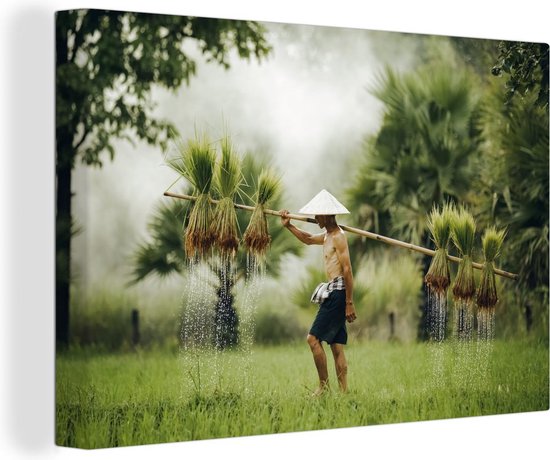 Transport de roseaux en Thaïlande 140x90 cm - Tirage photo sur toile (Décoration murale salon / chambre)