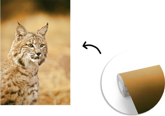 Papier peint - Papier peint photo Lynx - Marron - Herbe - Largeur 160 cm x hauteur 240 cm