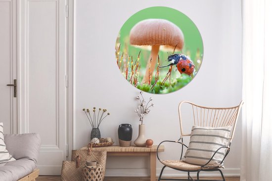 WallCircle - Cercle Mural - Cercle Mural - Coccinelle - Champignon - Insectes - Aluminium - Dibond - 140x140 cm - Intérieur et Extérieur