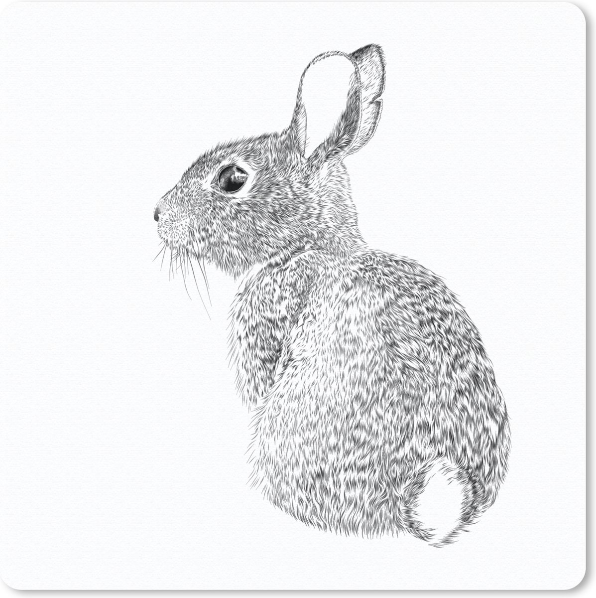 Muismat 30x30 cm - Mousepad Realistisch geïllustreerd konijn - Muismatten