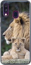 Geschikt voor Samsung Galaxy A40 hoesje - Volwassen leeuw met jong - Siliconen Telefoonhoesje