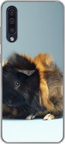 Geschikt voor Samsung Galaxy A50 hoesje - Twee kleine cavia's - Siliconen Telefoonhoesje