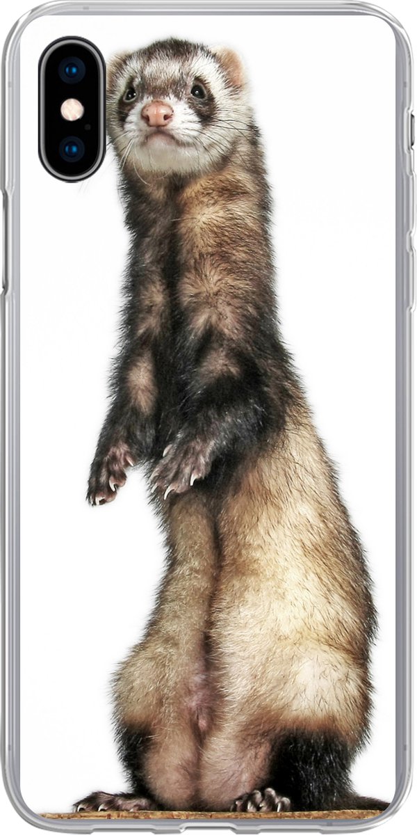Telefoonhoesje Geschikt voor iPhone Xs hoesje - Fret - Dieren - Vacht - Siliconen Telefoonhoesje Telefoonhoesje