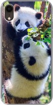 Geschikt voor iPhone XR hoesje - Panda's - Boom - Natuur - Siliconen Telefoonhoesje