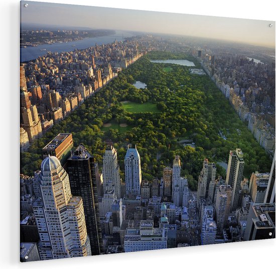 Artaza Glasschilderij - Central Park In New York Met Wolkenkrabbers - 100x80 - Groot - Plexiglas Schilderij - Foto op Glas