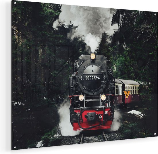 Artaza Glasschilderij - Locomotief in de Bossen met Stoom Wolken  - 100x80 - Groot - Plexiglas Schilderij - Foto op Glas