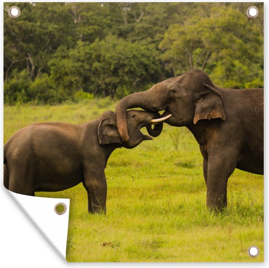 Torchon de jardin Deux éléphants combattants - 100x100 cm