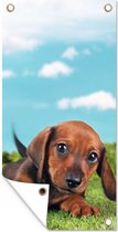 Wanddecoratie buiten Prachtige lucht boven een schattige Teckel puppy - 80x160 cm - Tuindoek - Buitenposter