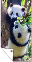 Schuttingposter Panda's - Boom - Natuur - 100x200 cm - Tuindoek