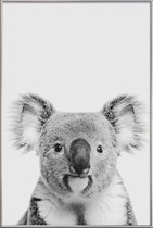 JUNIQE - Poster met kunststof lijst Koala Classic -13x18 /Wit & Zwart