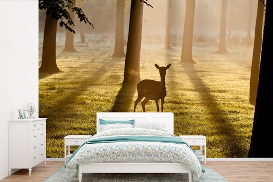 Papier peint - Papier peint Papier peint photo Cerf - Forêt - Soleil - Largeur 390 cm x hauteur 260 cm