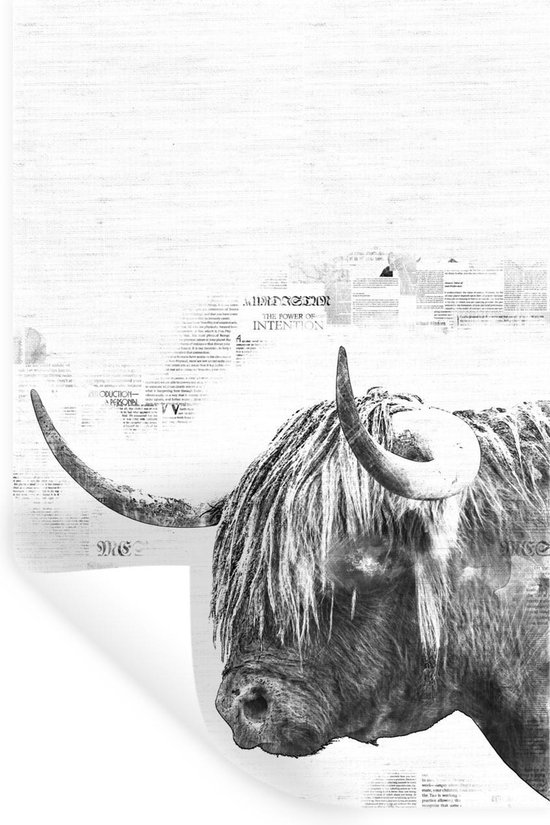 Muurstickers - Sticker Folie - Schotse hooglander op een krant achtergrond - zwart wit - 80x120 cm - Plakfolie - Muurstickers Kinderkamer - Zelfklevend Behang - Zelfklevend behangpapier - Stickerfolie