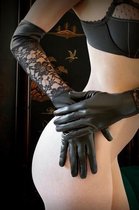 Moonlight Handschoenen Met Kant - Sexy Lingerie & Kleding - Accessoires - Dames Lingerie - Accessoires