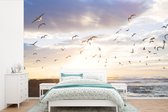 Behang - Fotobehang Kalm beeld van vogels bij zonsondergang - Breedte 450 cm x hoogte 300 cm