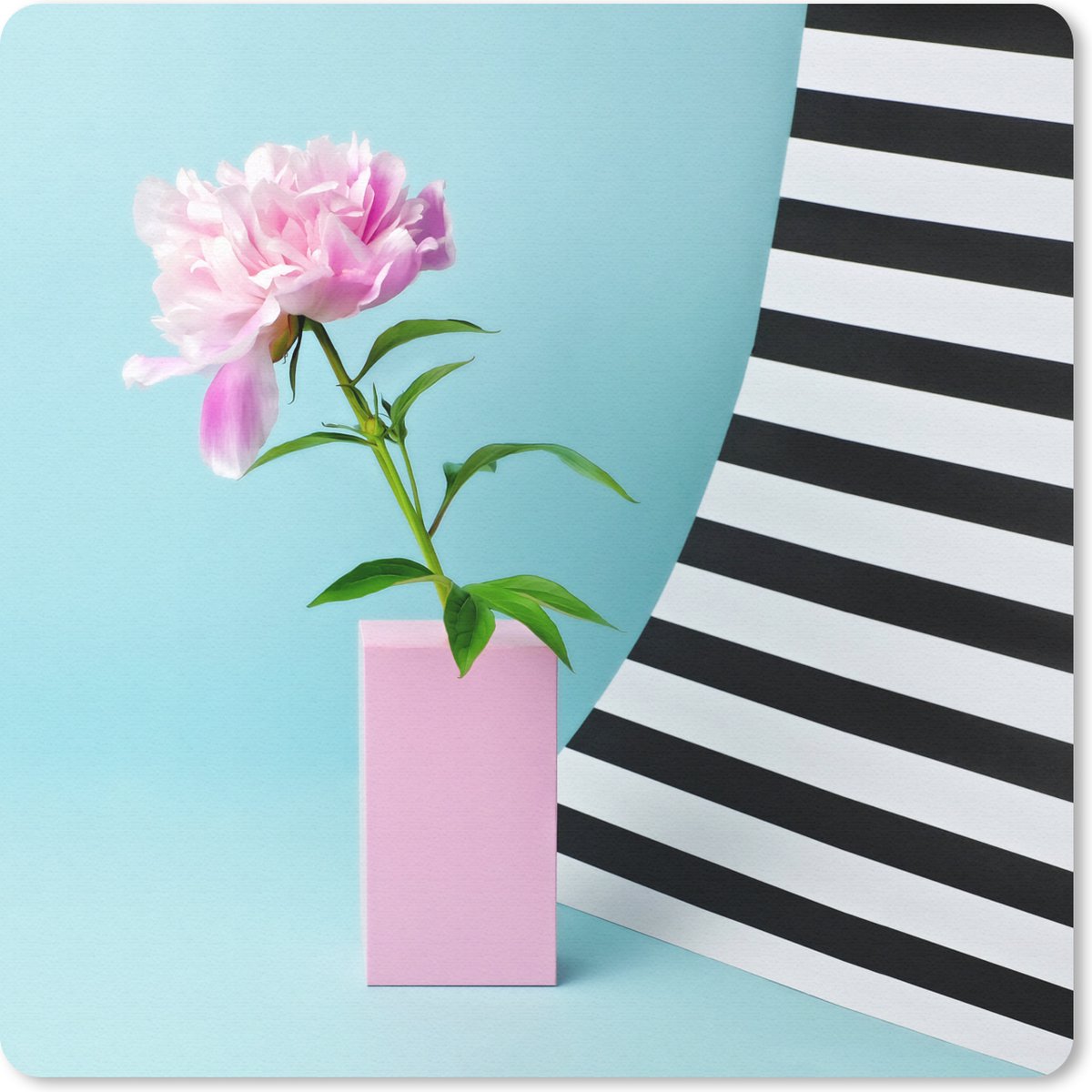 Muismat 30x30 cm - Mousepad Roze pioenroos met een blauwe achtergrond - Muismatten