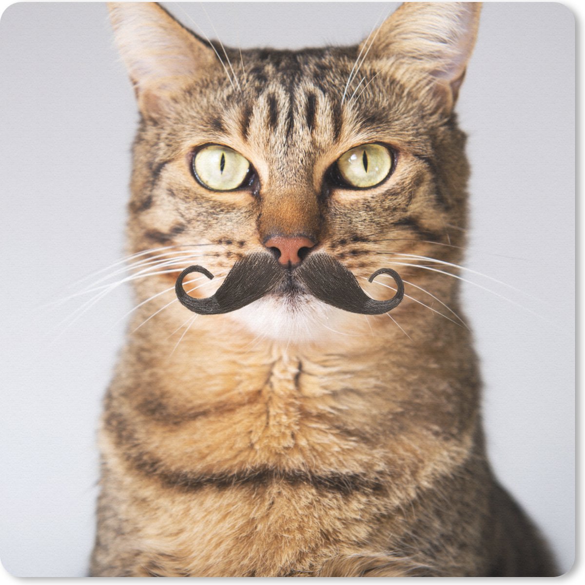 Muismat 30x30 cm - Mousepad Kat - Snor - Hipster - Muismatten