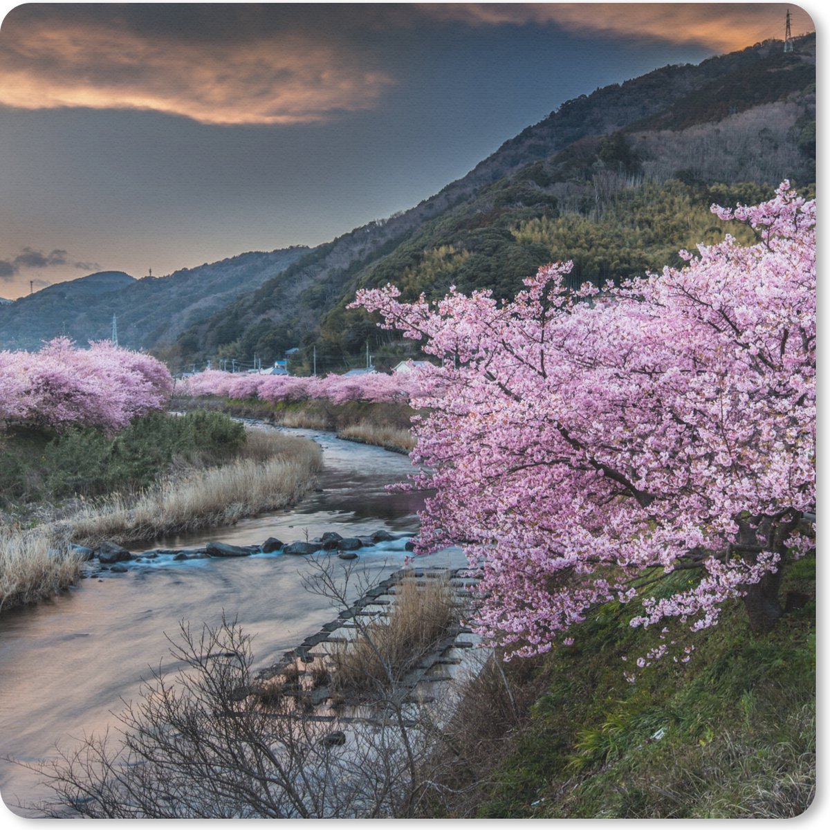 Muismat 30x30 cm - Mousepad Kersenboom - Bergen - Lente - Muismatten