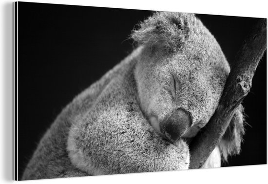 Wanddecoratie Metaal - Aluminium Schilderij Industrieel - Slapende koala op zwarte achtergrond in zwart-wit - 120x60 cm - Dibond - Foto op aluminium - Industriële muurdecoratie - Voor de woonkamer/slaapkamer