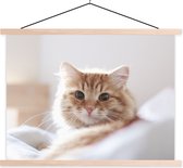Affiche en gros plan de chat en textielposter 150x113 cm