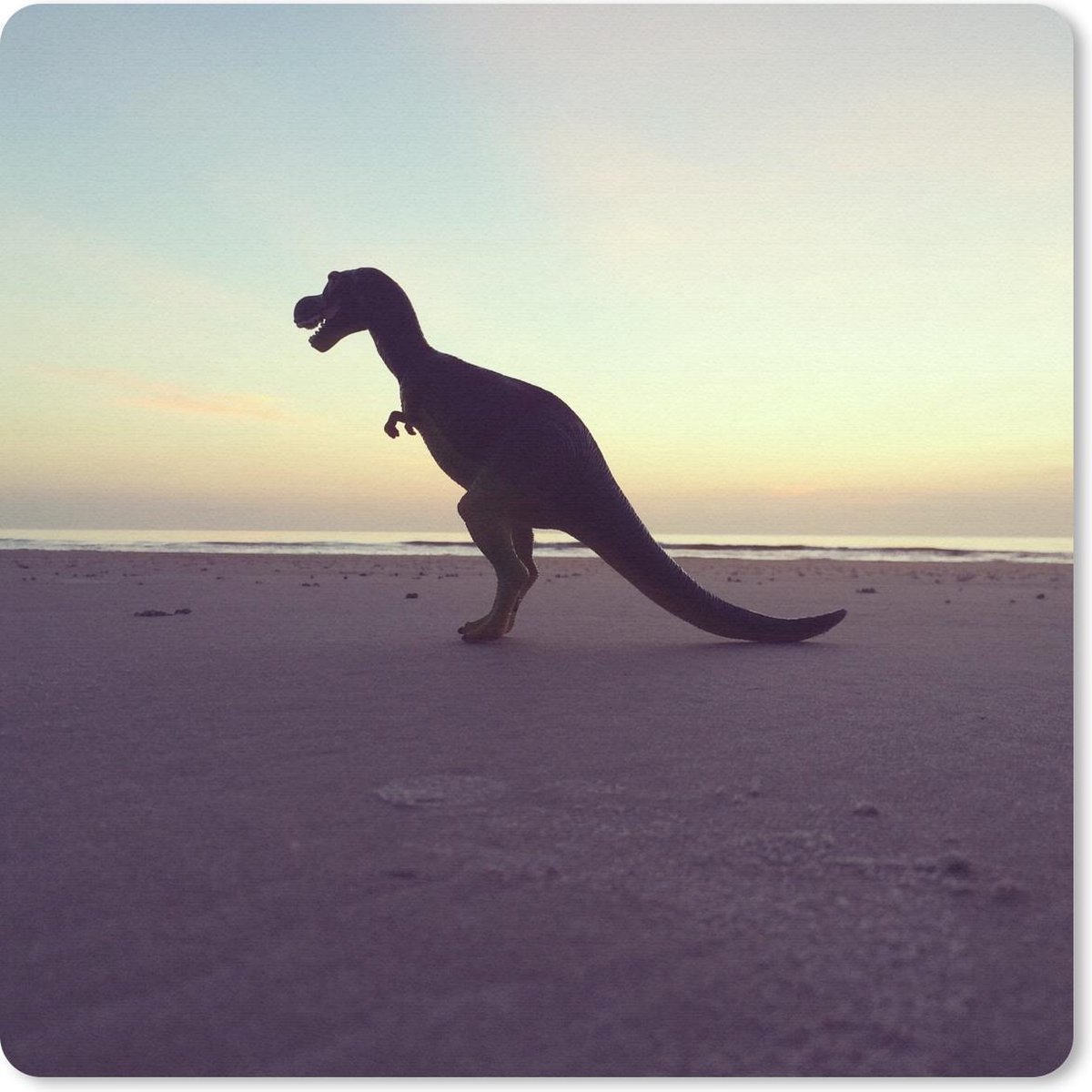 Muismat 30x30 cm - Mousepad Silhouet - Dinosaurus - Strand - Muismatten
