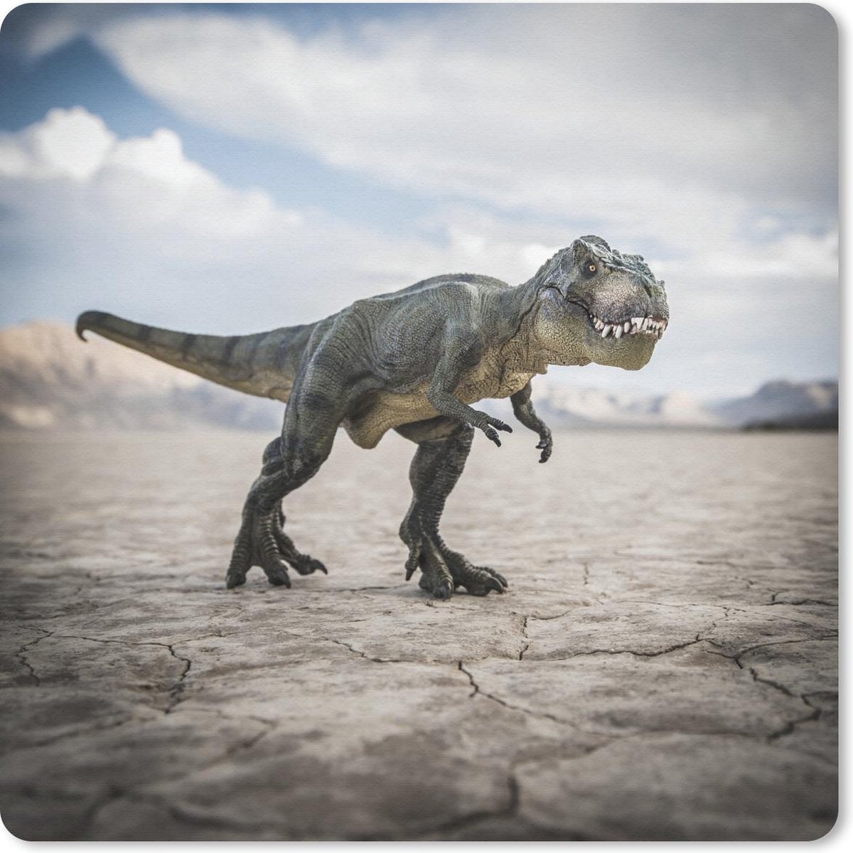 Muismat 30x30 cm - Mousepad Dinosaurus - Stenen - Zand - Muismatten