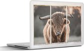 Laptop sticker - 11.6 inch - Schotse hooglander - Doorkijk - Hoorns - 30x21cm - Laptopstickers - Laptop skin - Cover