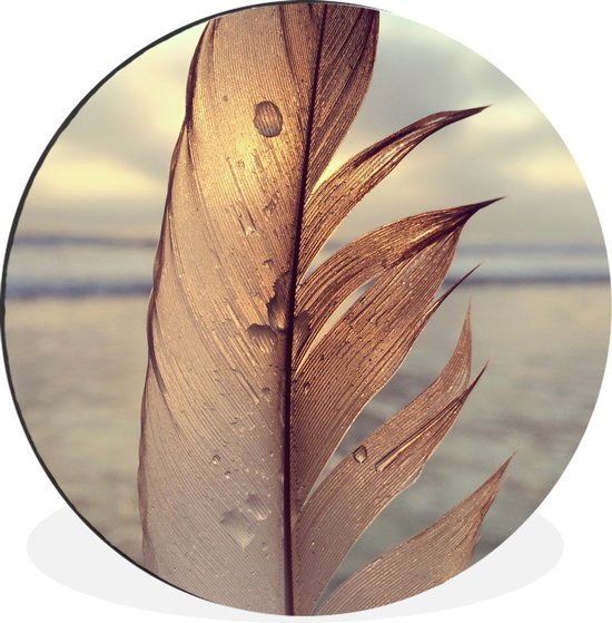 Gouttelettes d'eau sur une plume Cercle mural aluminium ⌀ 140 cm