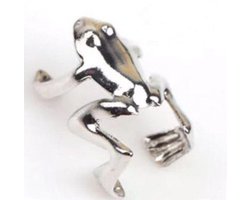 GoedeDoelen.Shop | Klemoorbel Froggy | Ear Cuff | Kikker | Oorbel Kikker | Oorklem | Cadeautje | Wellness-House