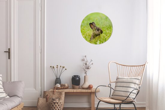 Wall Circle - Wall Circle Indoor - Lapin - Bébé - Herbe - 30x30 cm - Décoration murale - Peintures Ronds