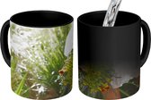 Magische Mok - Foto op Warmte Mok - Vrouw die bloemen draagt in de tuin - 350 ML
