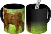 Magische Mok - Foto op Warmte Mok - Schotse Hooglander - Kalf - Bruin - Gras - 350 ML