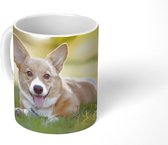 Mok - Welsh Corgi-puppy - 350 ML - Beker