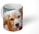 Mok - Golden Retriever pup met strik - 350 ML - Beker