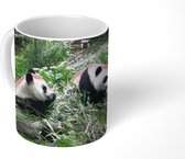 Mok - Koffiemok - Panda - Natuur - Bamboe - Mokken - 350 ML - Beker - Koffiemokken - Theemok