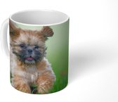 Mok - Een schattige Shih Tzu hond loopt door het gras - 350 ML - Beker