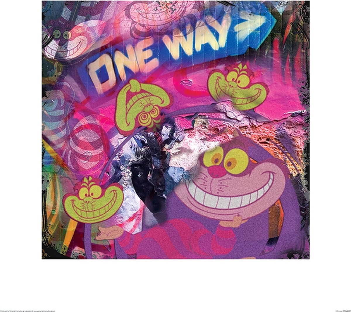 Disney Poster - The Cheshire Cat Graffiti - 40 X 40 Cm - Multicolor Multi color