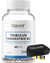Supplement - Supplementen - Tribulus Terrestris 1000mg - 90% Saponine - 60 Capsules Ostrovit -  + Pill Box
