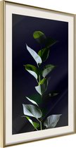 Poster Floral Elegance 20x30
