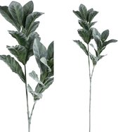 PTMD Leaves Plant Lambs Ear Blad Kunsttak - 30 x 20 x 74 cm - Groen