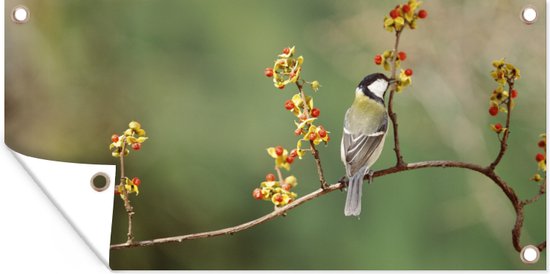 Tuinposter Koolmees op een kleurrijke tak - 60x30 cm - Tuindoek - Buitenposter