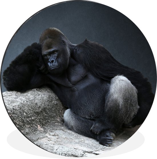 WallCircle - Wandcirkel - Muurcirkel - Een Gorilla die aan het relaxen is op een steen - Aluminium - Dibond - ⌀ 30 cm - Binnen en Buiten