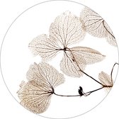 Zoedt muurcirkel - voor binnen - wit met gedroogde bladeren - 40cm