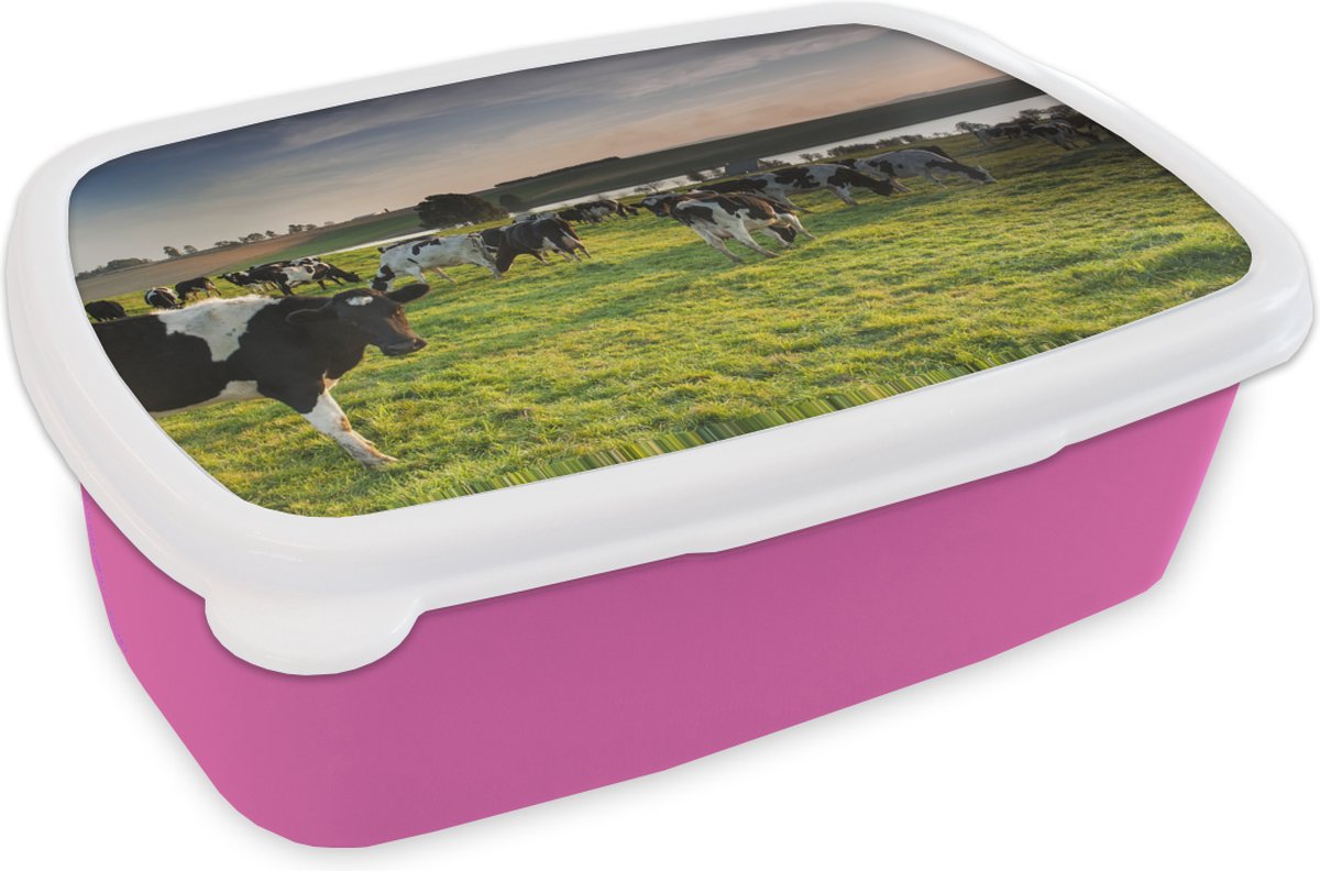Broodtrommel Roze - Lunchbox - Brooddoos - Koe - Gras - Zonsondergang - 18x12x6 cm - Kinderen - Meisje