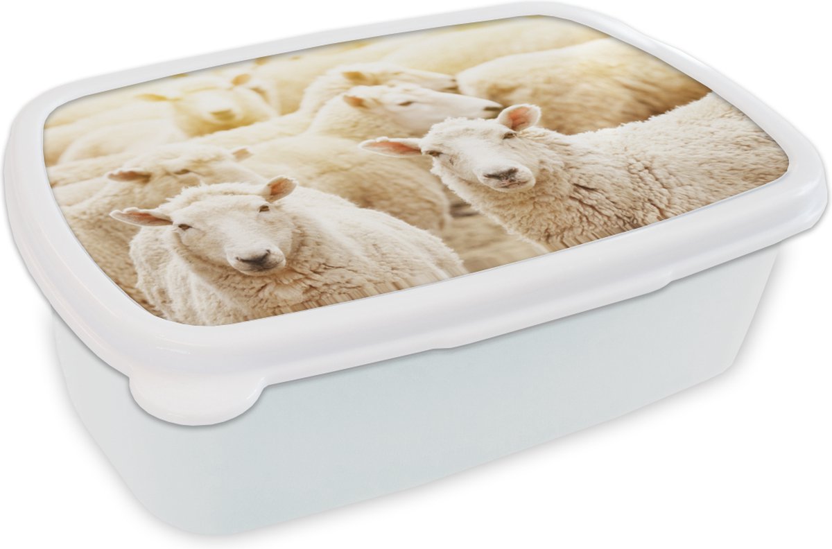 Broodtrommel Wit - Lunchbox - Brooddoos - Schapen - Wol - Wit - 18x12x6 cm - Volwassenen