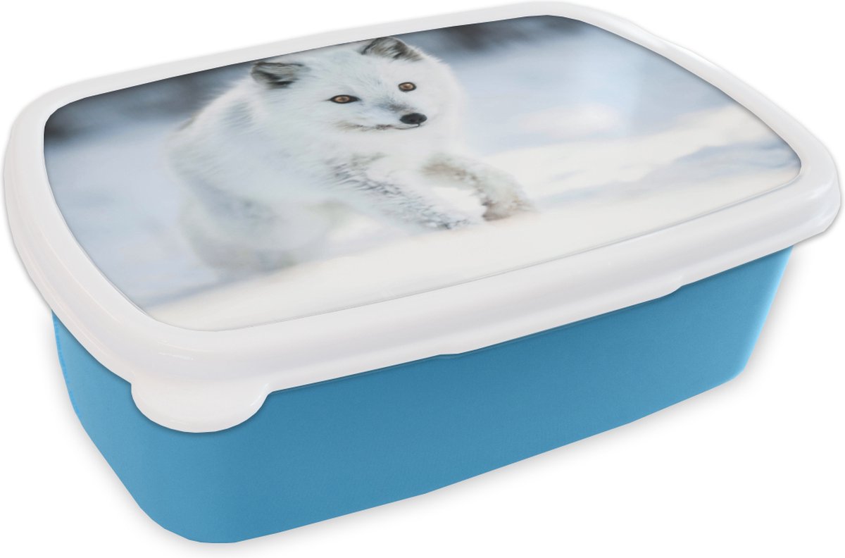 Broodtrommel Blauw - Lunchbox - Brooddoos - Vos - Wit - Sneeuw - 18x12x6 cm - Kinderen - Jongen
